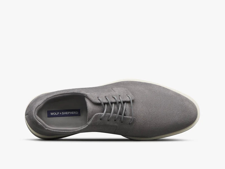 Wolf and Shepherd Closer Derby