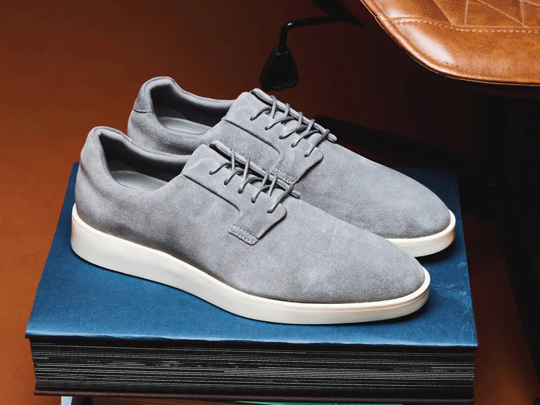 Wolf and Shepherd Closer Derby